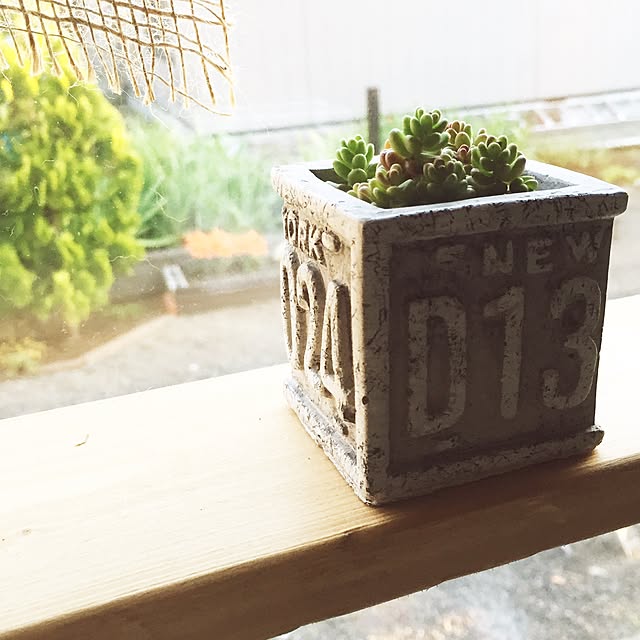 shimoさんの実例写真