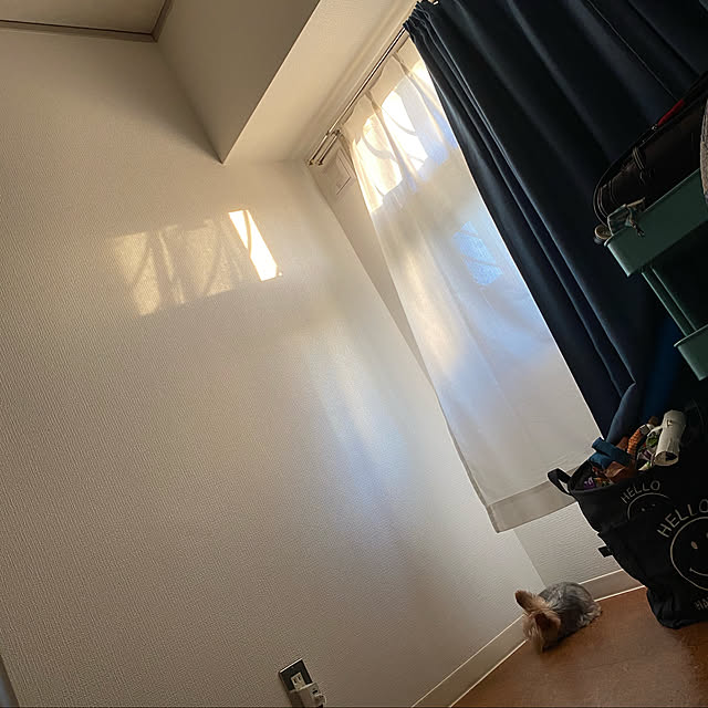 ohanaさんの実例写真
