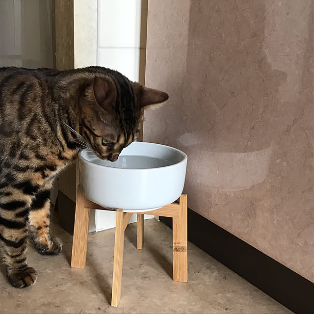 yumuyumuさんの実例写真