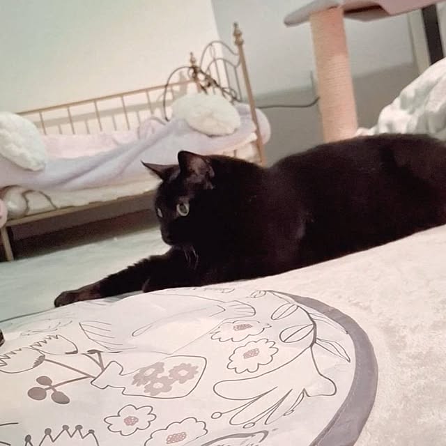 moko.7525himeさんの部屋