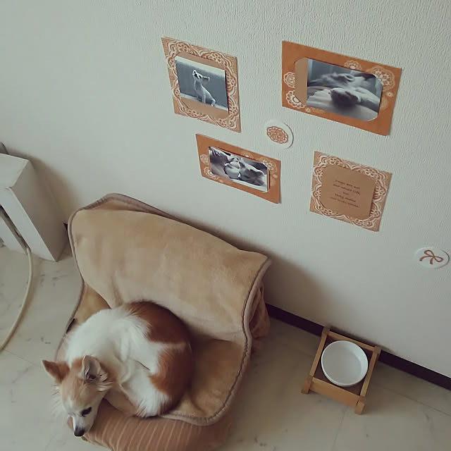 nonさんの実例写真
