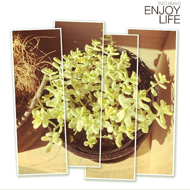 Good.smileさんの実例写真