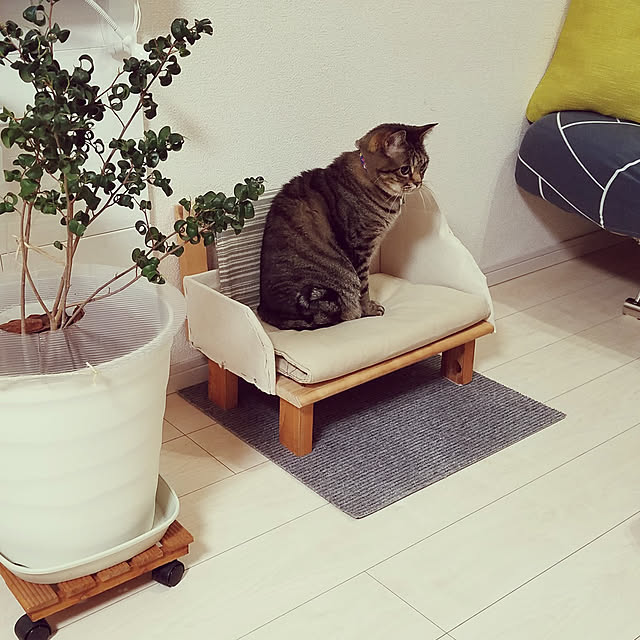 t-famさんの実例写真