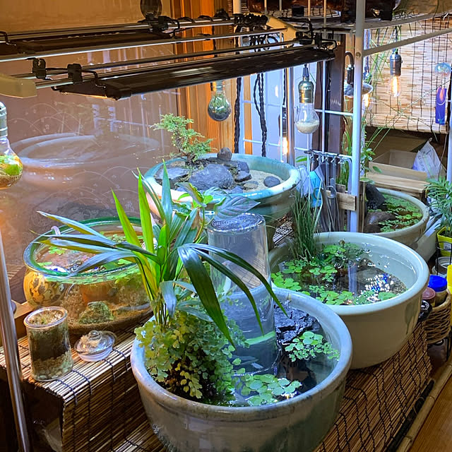 hikoさんの部屋