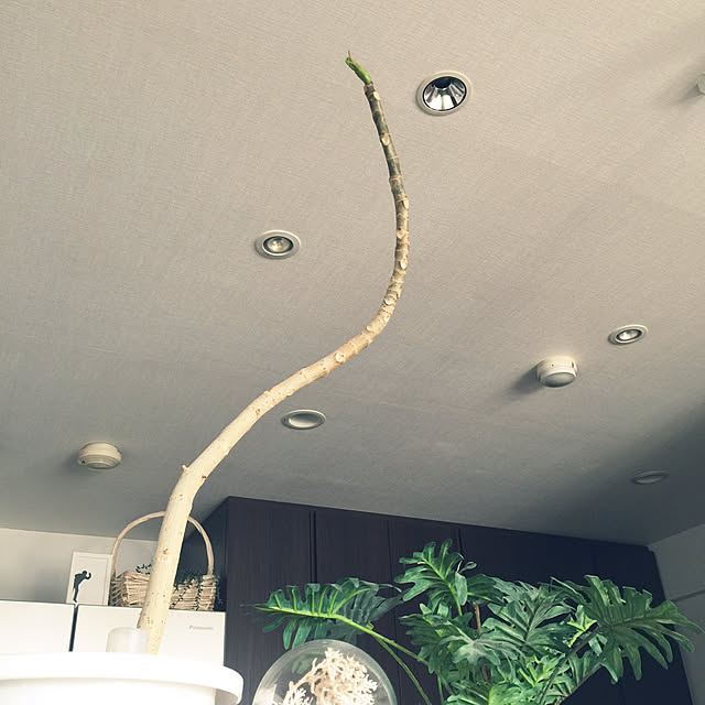 HKSさんの実例写真
