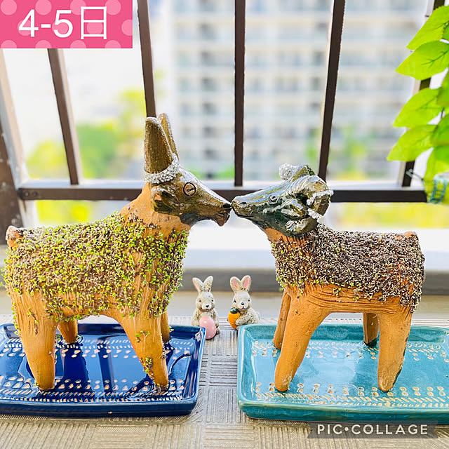 aureaさんの実例写真