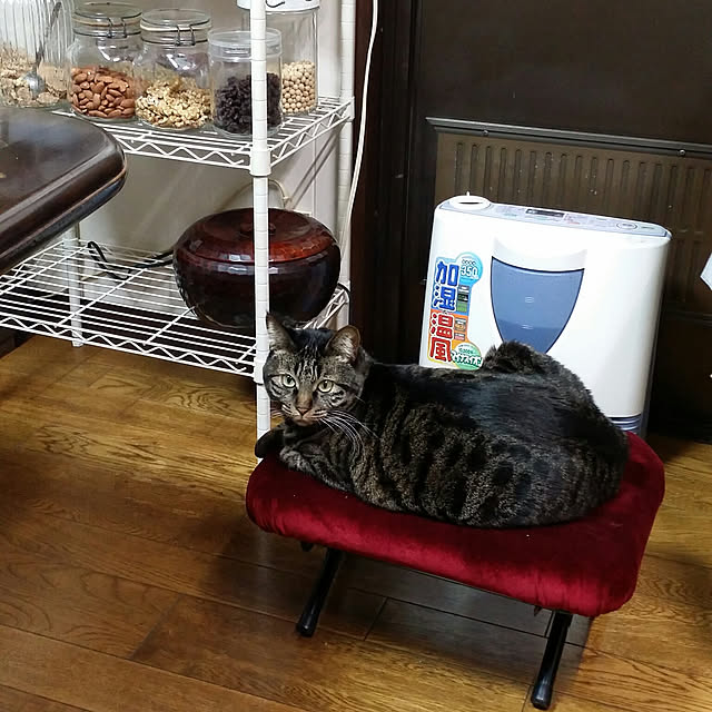 Mayumi8888さんの実例写真