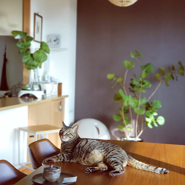 mitu_masaoさんの実例写真