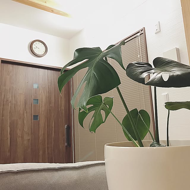 sayさんの実例写真