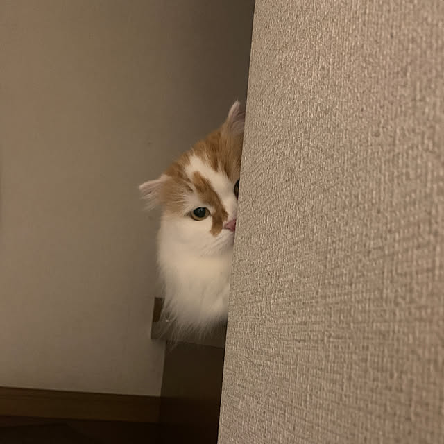 keiさんの実例写真