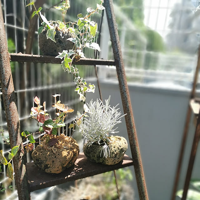 haxtusi301さんの実例写真
