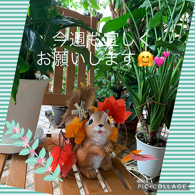 Aqettyさんの実例写真