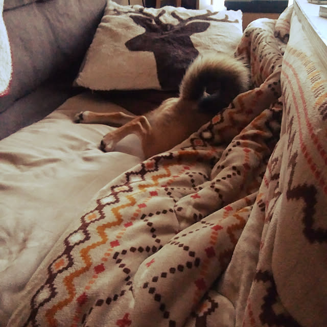mameさんの実例写真