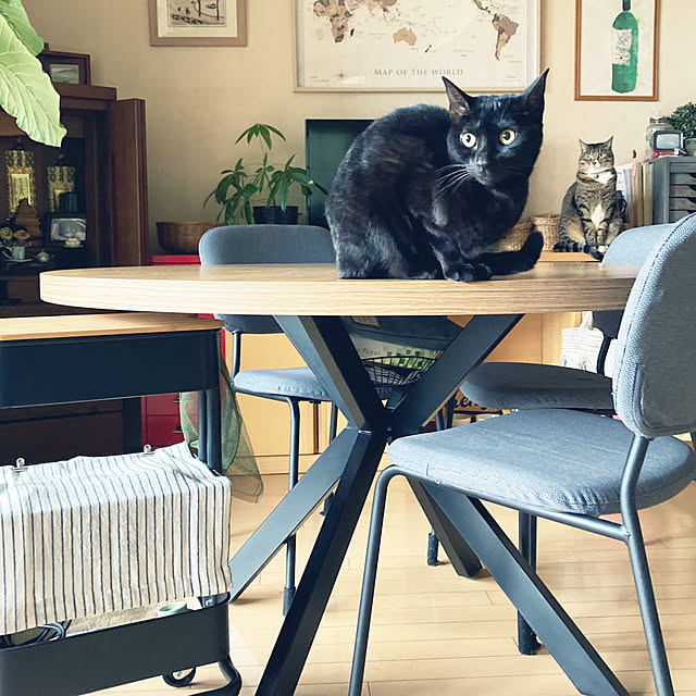 suemonta14さんの部屋
