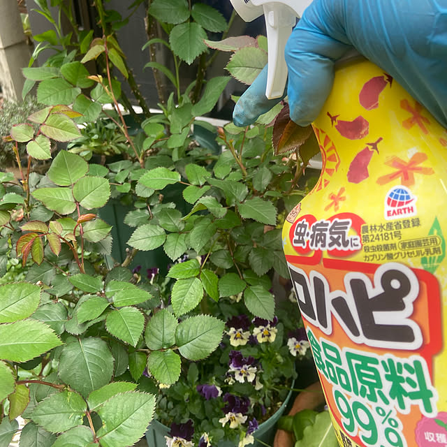 na-chanさんの実例写真