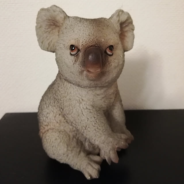 棚のインテリア実例 - 2019-02-28 05:51:08