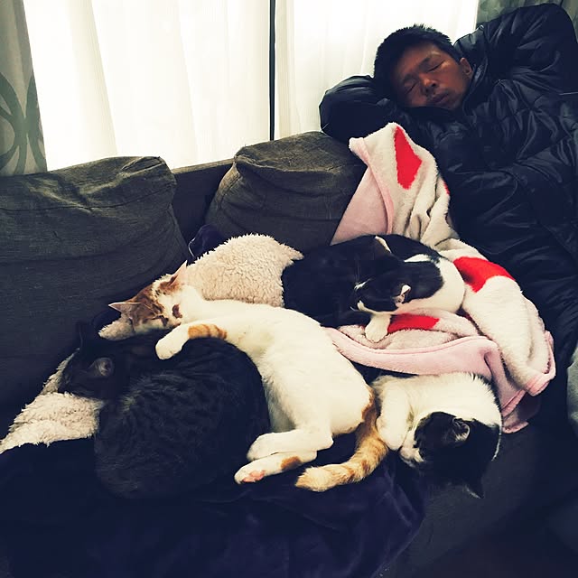 minkokoさんの実例写真