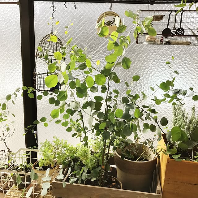 Hisayoさんの実例写真