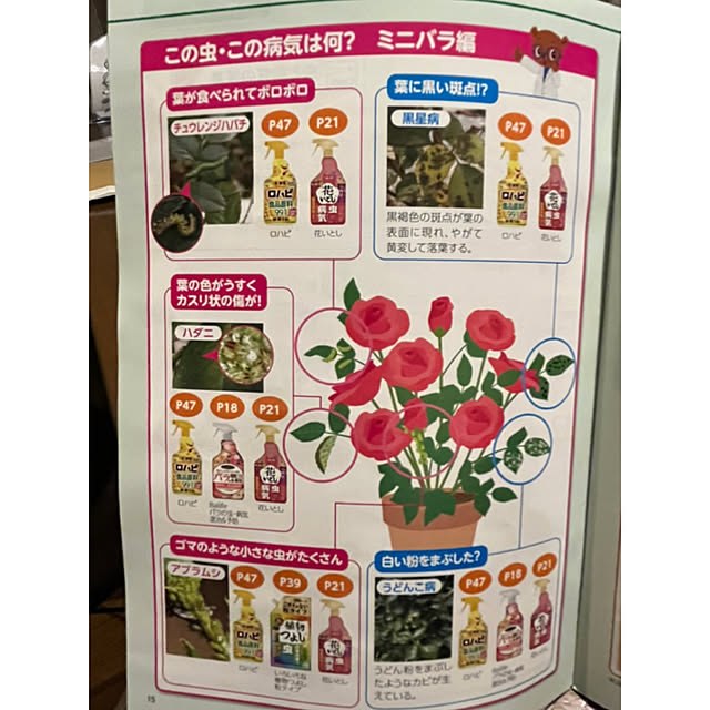 yoshibuさんの部屋
