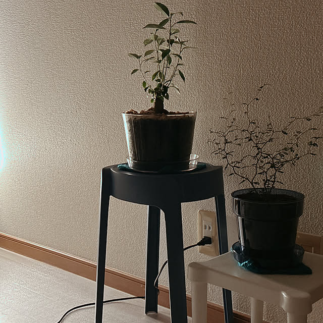 ruuuさんの実例写真