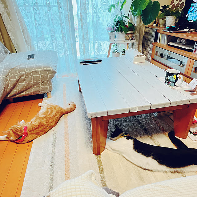 moolさんの部屋