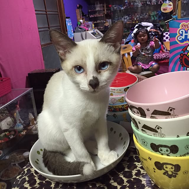 vivienne.coco-keiさんの実例写真