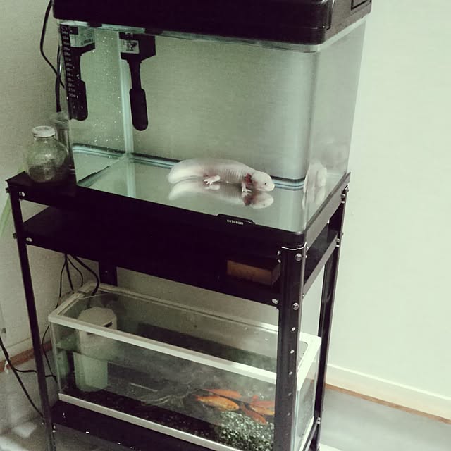 hiromyuseumさんの実例写真