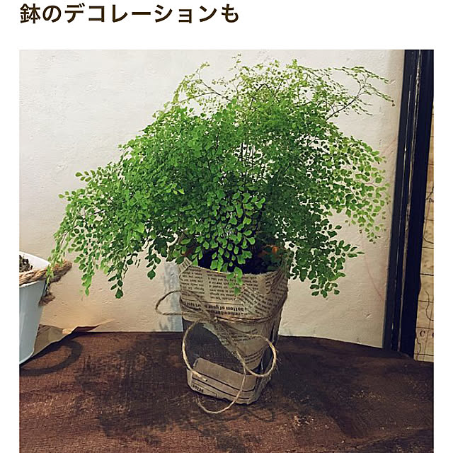 sakiさんの実例写真