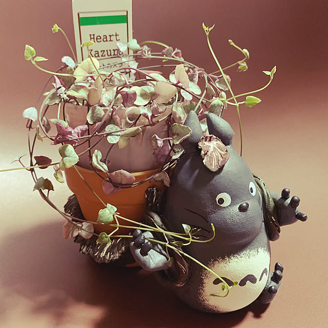 sei.kan.hide.chiyoさんの実例写真