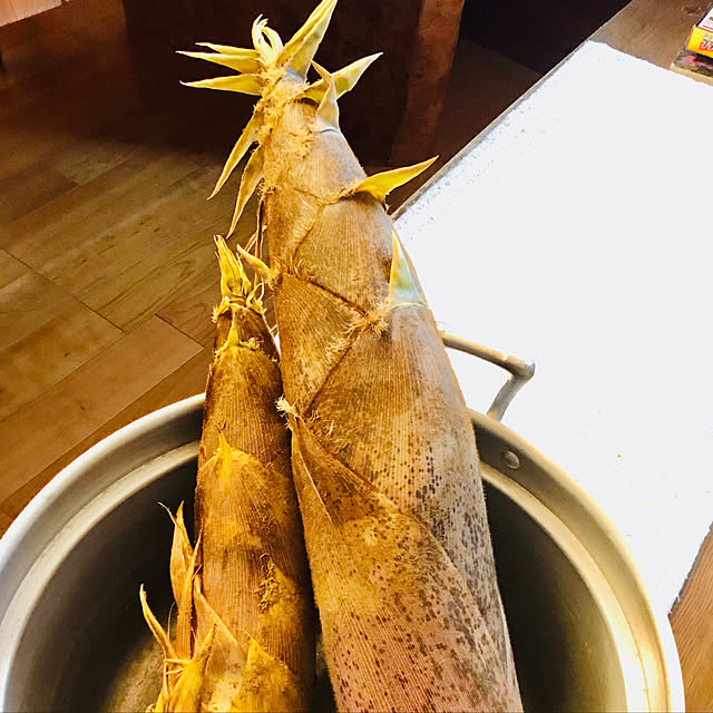 ankoさんの実例写真