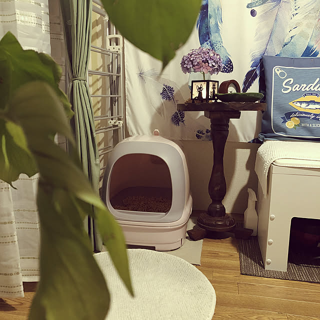 mikenekoさんの実例写真