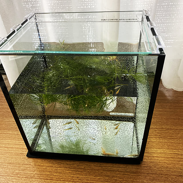 ri-koさんの実例写真