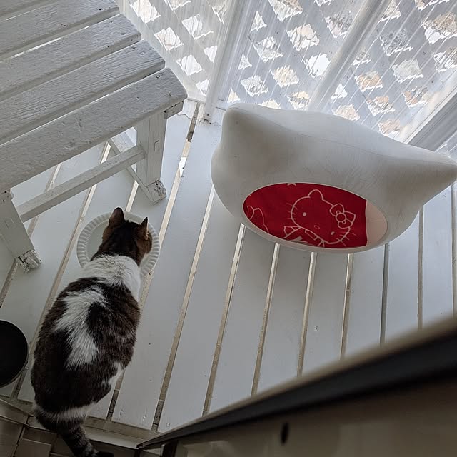 machikomamaさんの部屋