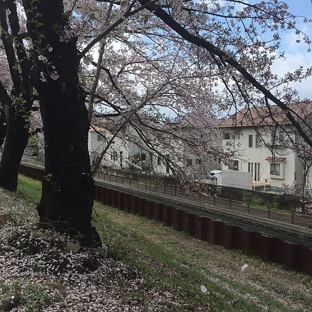 TAKAさんの実例写真