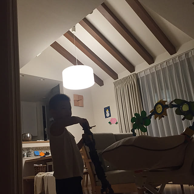 ioioioさんの実例写真