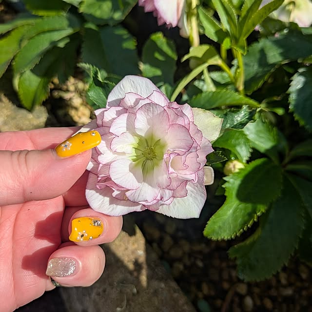 fumitanさんの部屋