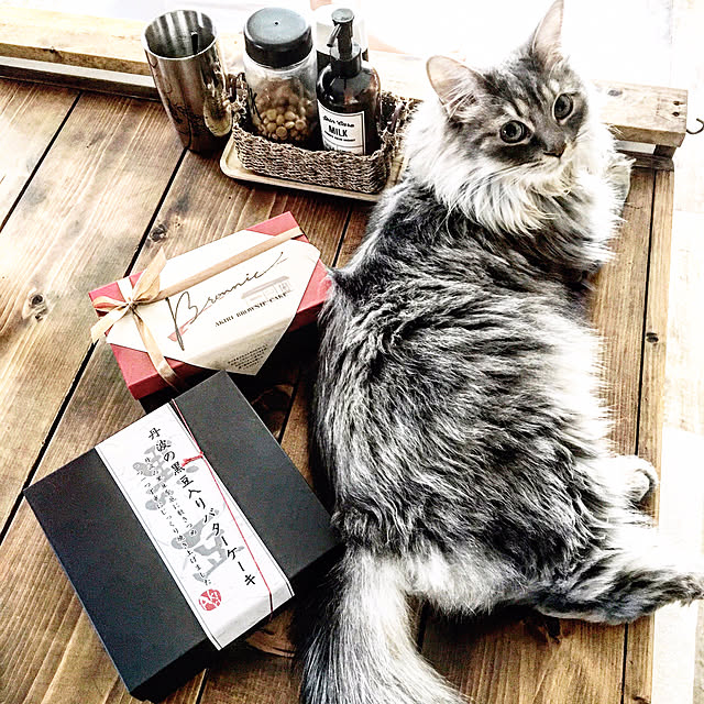 REINA612WORKSさんの実例写真