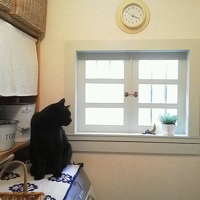mikiさんの実例写真