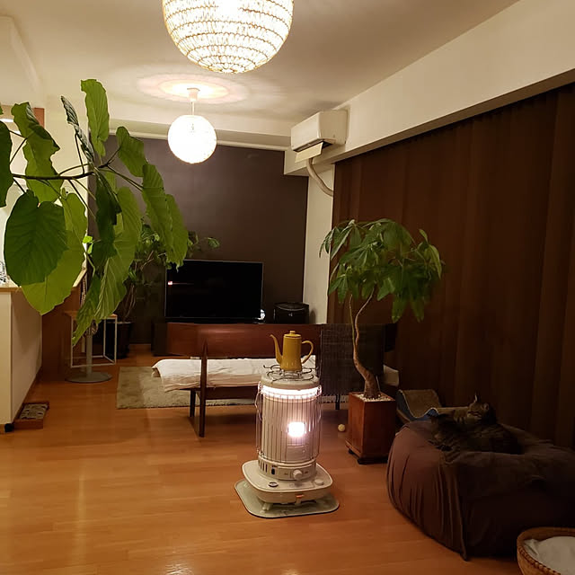 mitu_masaoさんの実例写真