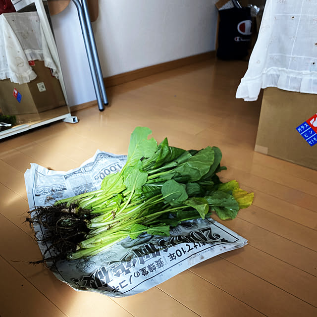 Momokaさんの実例写真
