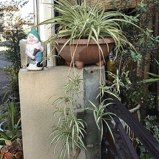 yoshie1197さんの実例写真