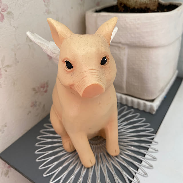 sukkorobiさんの部屋
