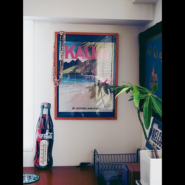 rurinosukeさんの実例写真
