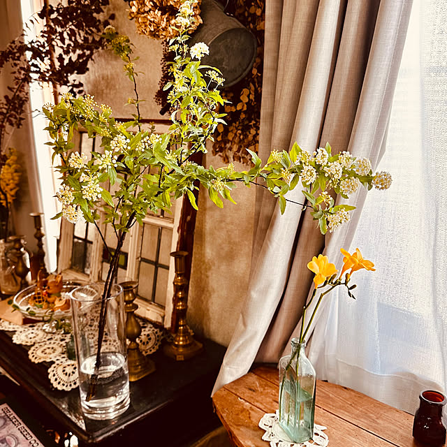 megmilkさんの部屋