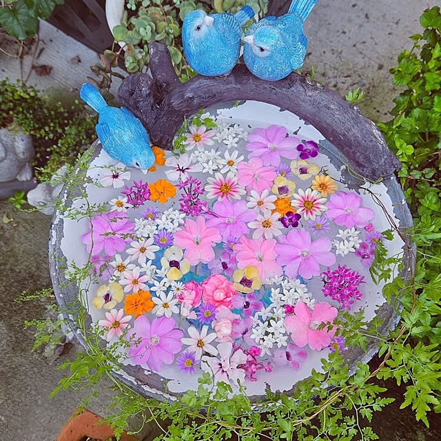 mocomocoさんの実例写真