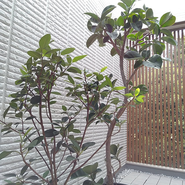 MYHAUSさんの実例写真