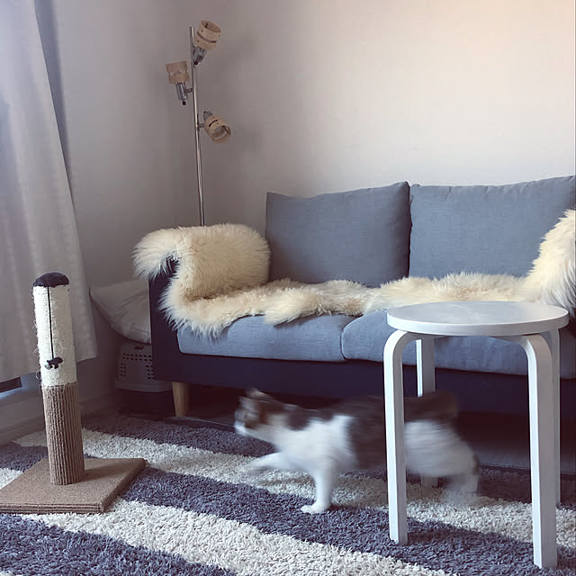 w_fox0713さんの実例写真