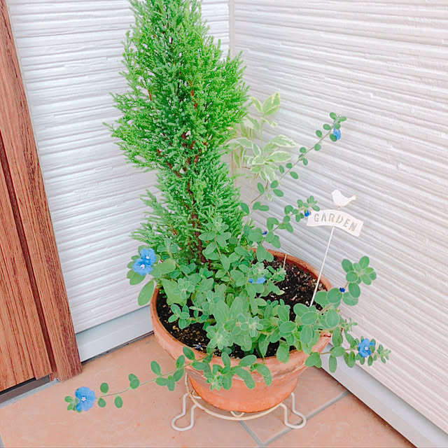 kinaさんの実例写真