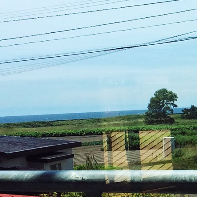 garincoさんの実例写真