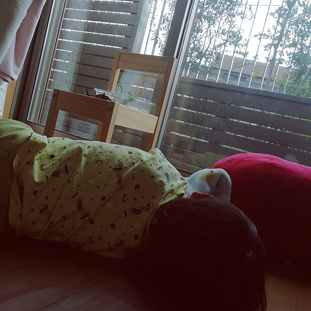 hina-akeさんの実例写真